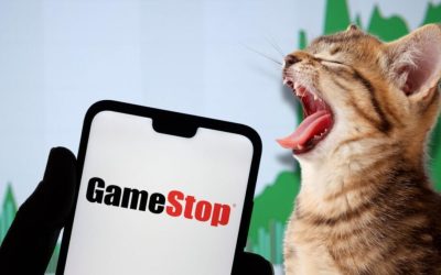GameStop Shares Take A Hit After ‘Roaring Kitty’ Discloses 6.6% Stake In Chewy And Faces A Manipulation Lawsuit