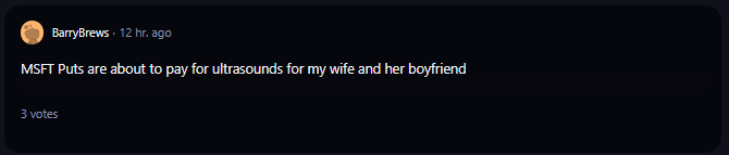 A comment on r/WallStreetBets subreddit.