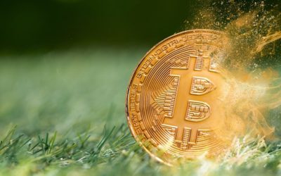 Bitcoin Tops $65,000 Despite Record-High Social Disinterest: What Is Driving the Rally?
