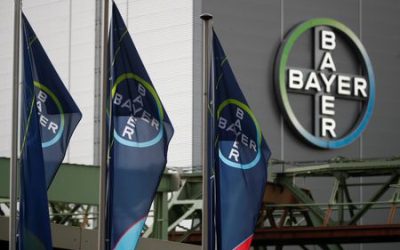 Bayer investor urges rethink after latest glyphosate defeat