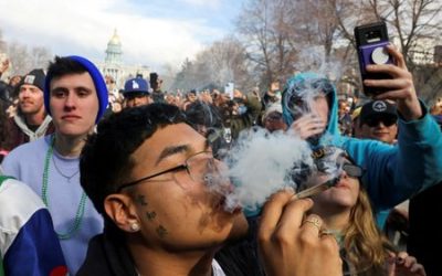 Pot ETFs tumble, erasing earlier rally as US legalization hopes dim