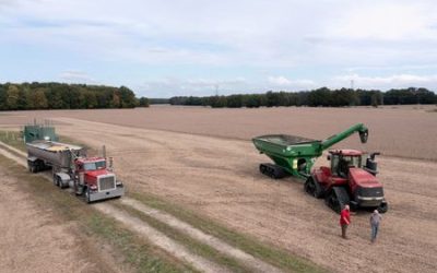 USDA confirms first big US soy sale to China since mid-December