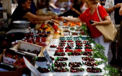 Euro zone consumer confidence falls to -16.0 in August